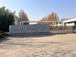 山东圣地甘薯